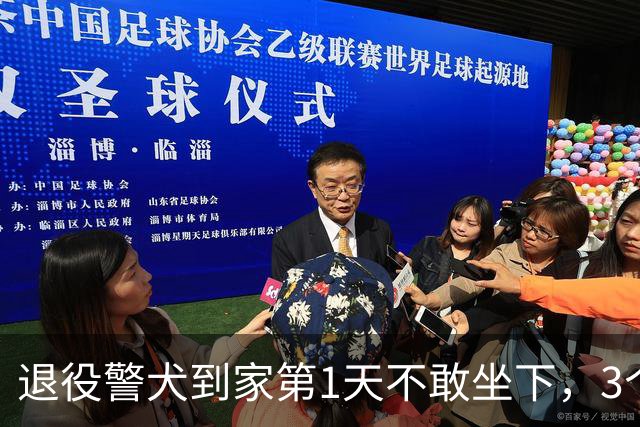 退役警犬到家第1天不敢坐下，3个月后…猫哥被烦到想报警？警犬：报吧，出警的是我前爹！